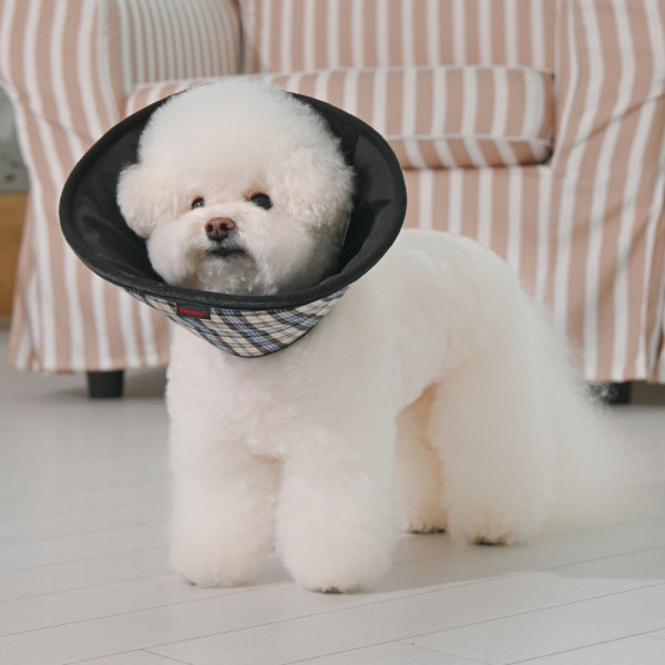 CHARLIE CHECKERED E-COLLAR