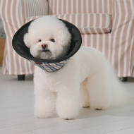 CHARLIE CHECKERED E-COLLAR