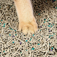 Petkit 5-in1 Mixed Katzenstreu klumpend 3,6kg Petkit 5-in1 Mixed Katzenstreu klumpend 3,6kg