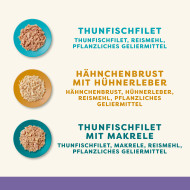 Applaws Auswahl an Sorten in Gelee Multipack (6 x 70 g)