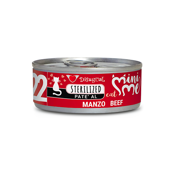 Disugual Mini Me 22 – Rindfleisch (85gx12)