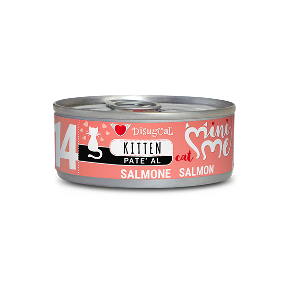 Disugual Mini Me 14 – KITTEN Lachs (85gx12)