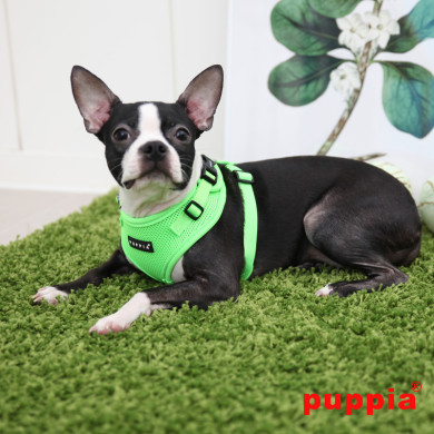 NEON SOFT HARNESS II NEON SOFT HARNESS II