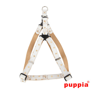 MODERN DOTTY HARNESS X MODERN DOTTY HARNESS X