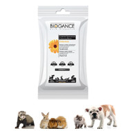 Augenreinigungslotion Clean Eyes