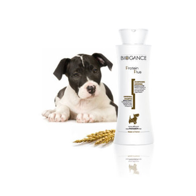 Universal Hundeshampoo Protein Plus Universal Hundeshampoo Protein Plus