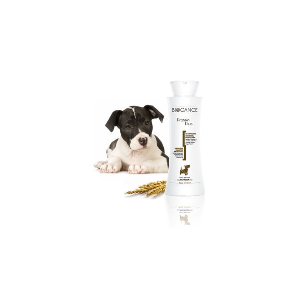 Universal Hundeshampoo Protein Plus