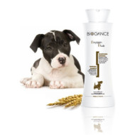 Antigeruchsshampoo Hund Odour Control