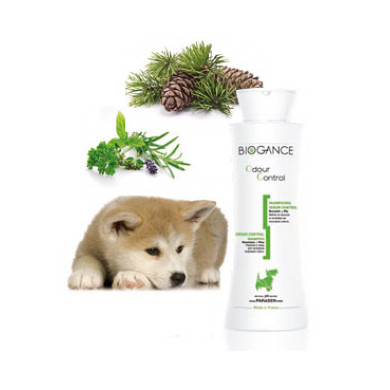 Antigeruchsshampoo Hund Odour Control Antigeruchsshampoo Hund Odour Control