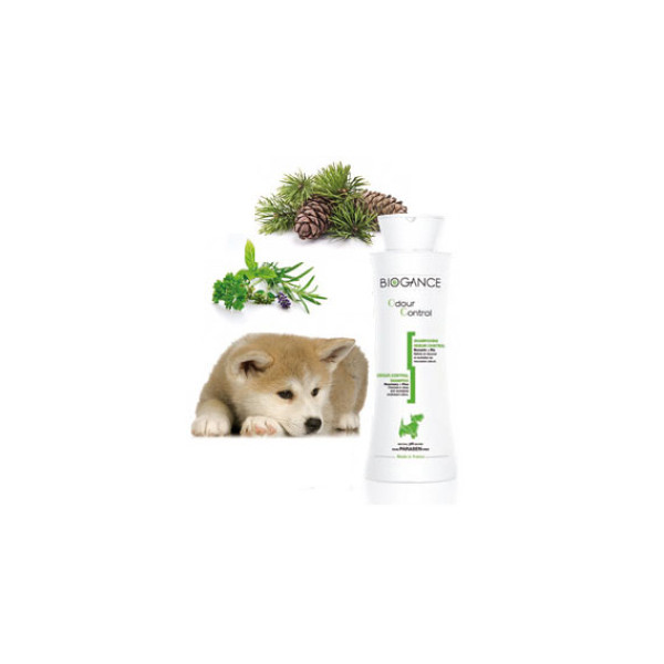 Antigeruchsshampoo Hund Odour Control
