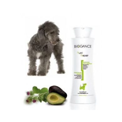 Kur-Shampoo Hund Nutri Repair Kur-Shampoo Hund Nutri Repair