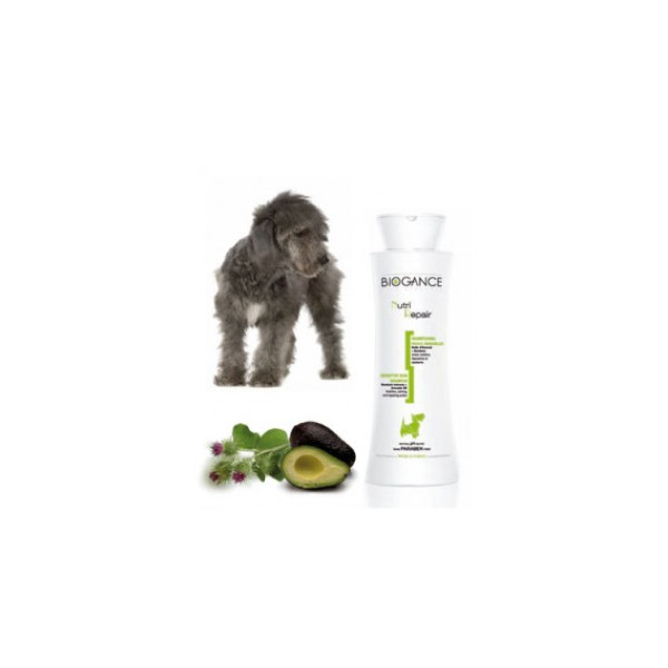 Kur-Shampoo Hund Nutri Repair