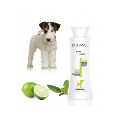 Hardhaar-Hundeshampoo Terrier Hardhaar-Hundeshampoo Terrier