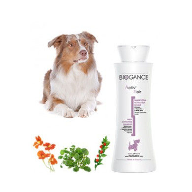 Hundeshampoo Activ'Hair MHD 11.2026
