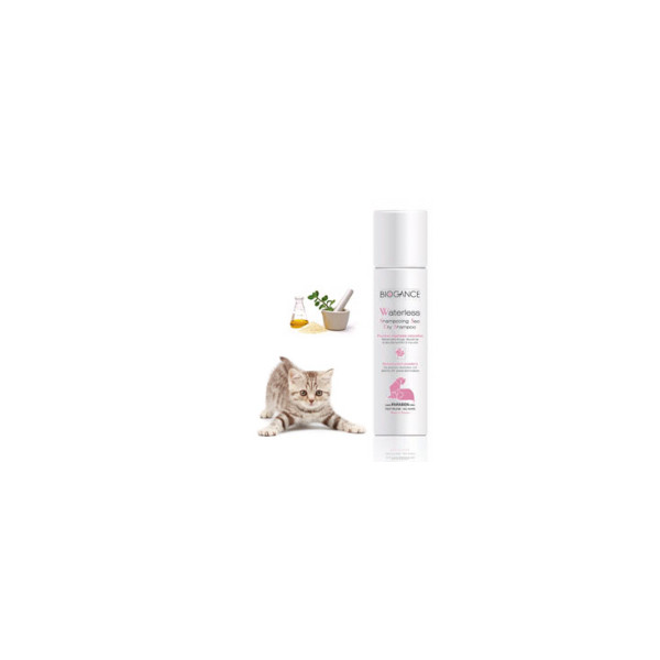 Trockenshampoo Spray Katze