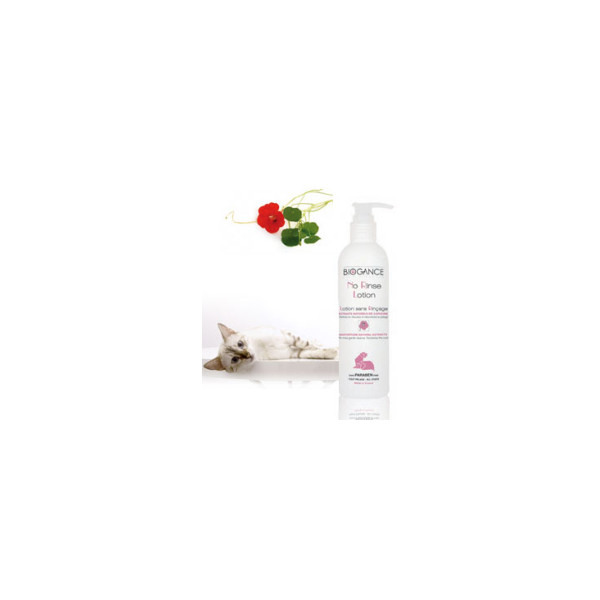 Trockenlotion Katze No Rinse Lotion Trockenlotion Katze No Rinse Lotion