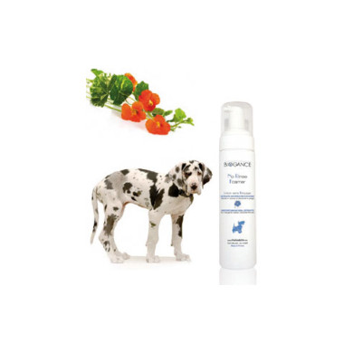 Trockenschaum Hund No Rinse Foamer Trockenschaum Hund No Rinse Foamer