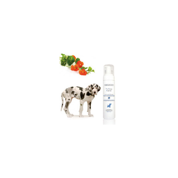 Trockenschaum Hund No Rinse Foamer Trockenschaum Hund No Rinse Foamer