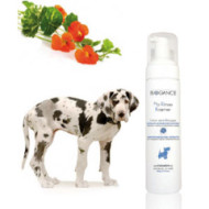 Trockenschaum Hund No Rinse Foamer Trockenschaum Hund No Rinse Foamer