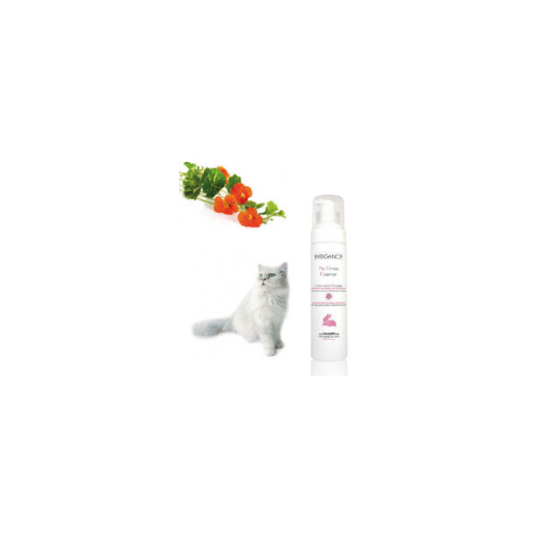 Trockenschaum Katze No Rinse Foamer