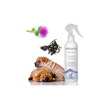 Algenprodukt Algo Derm Algenprodukt Algo Derm