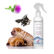 Algenprodukt Algo Derm