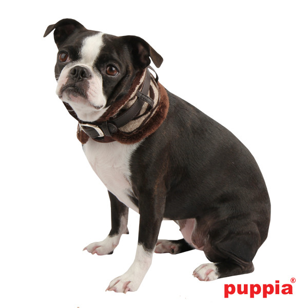 MODERN ZEBRA NECKGUARD