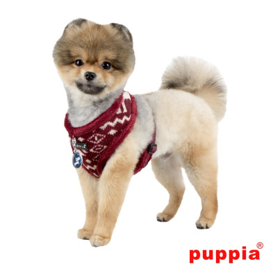 CUPID HARNESS A CUPID HARNESS A