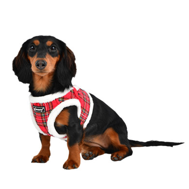 BLITZEN HARNESS B - PUPPIA - Wintergeschirr - Weihnachten BLITZEN HARNESS B - PUPPIA - Wintergeschirr - Weihnachten