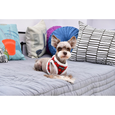 BLITZEN HARNESS B - PUPPIA - Wintergeschirr BLITZEN HARNESS B - PUPPIA - Wintergeschirr