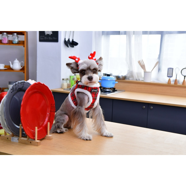 BLITZEN HARNESS B - PUPPIA - Wintergeschirr