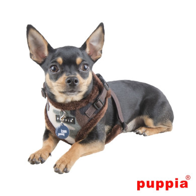 CORPORAL HARNESS A CORPORAL HARNESS A