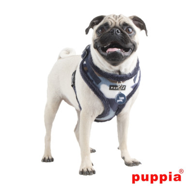 CORPORAL HARNESS A CORPORAL HARNESS A