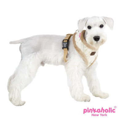 ZEAL HARNESS ZEAL HARNESS