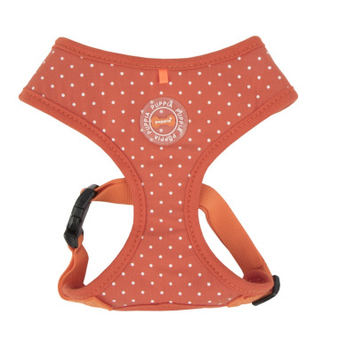 DOTTY HARNESS II A DOTTY HARNESS II A