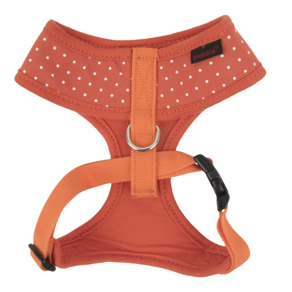 DOTTY HARNESS II A