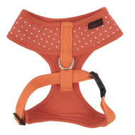 DOTTY HARNESS II A