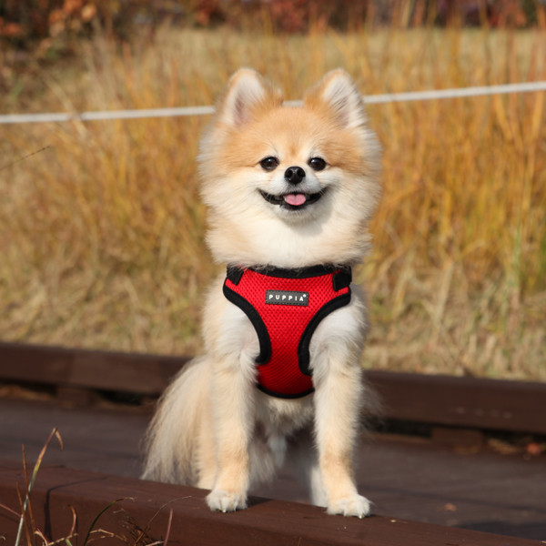SOFT HARNESS C
