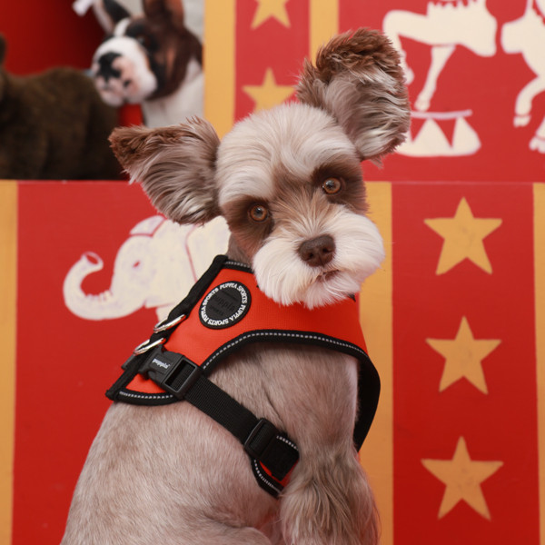 TREK SNUGFIT HARNESS E