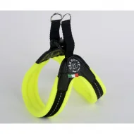 EASY FIT MESH NEON