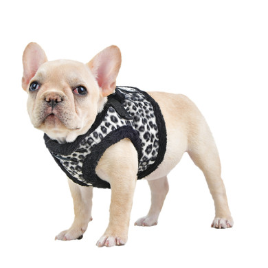 LEONARD HARNESS B LEONARD HARNESS B