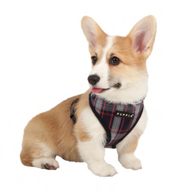 VOGUE HARNESS II VOGUE HARNESS II