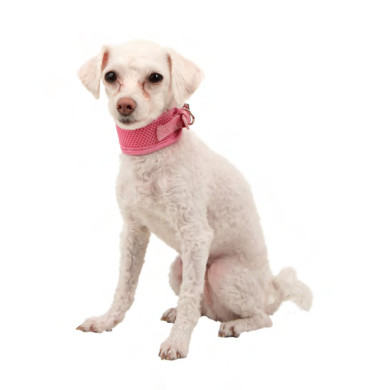 SOFT HARNESS MESH NECKGUARD SOFT HARNESS MESH NECKGUARD