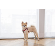 BLITZEN HARNESS C - PUPPIA - Wintergeschirr - Weihnachten