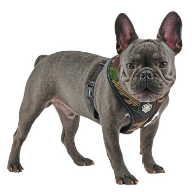 THERMAL SOFT HARNESS THERMAL SOFT HARNESS