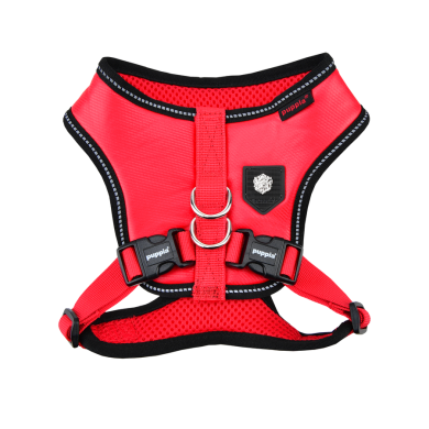 LEGACY HARNESS E LEGACY HARNESS E