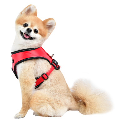 LEGACY HARNESS E LEGACY HARNESS E