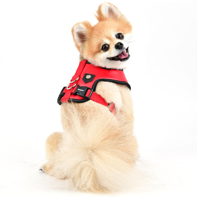 LEGACY HARNESS E LEGACY HARNESS E