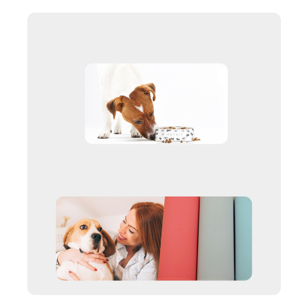 PETKIT Silikon Matte