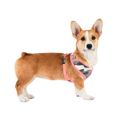 ENSIGN HARNESS A ENSIGN HARNESS A